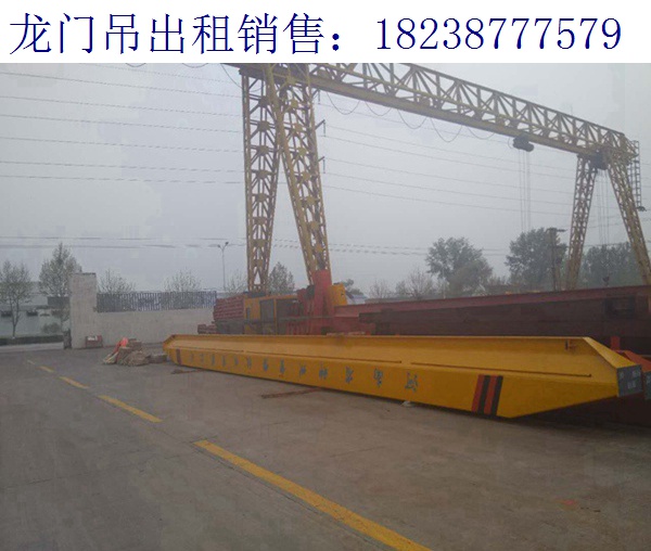 湖南邵陽門式起重機廠家 講解起重機的主要特點