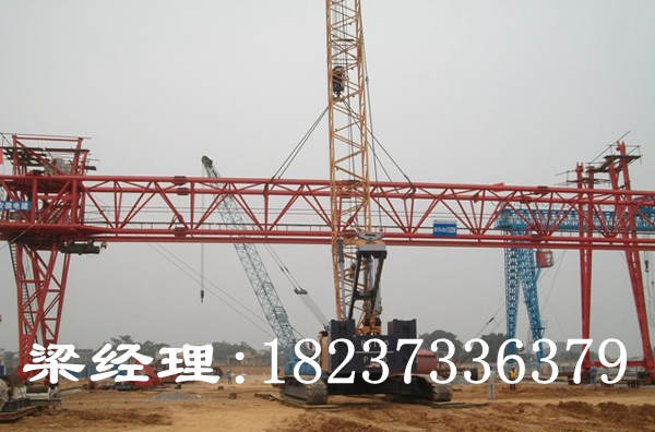 湖北武漢門式起重機廠家