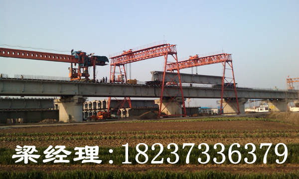 湖南長沙門式起重機廠家