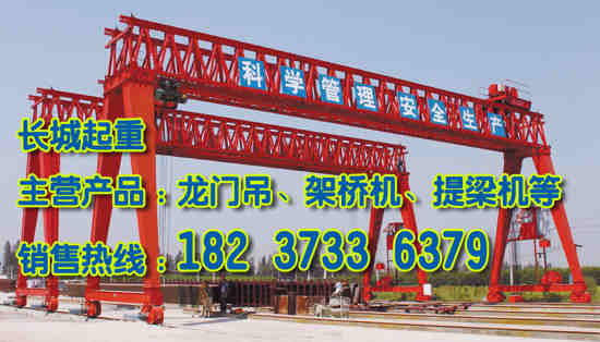 廣東廣州門式起重機(jī)廠家