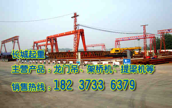 湖北武漢門式起重機廠家