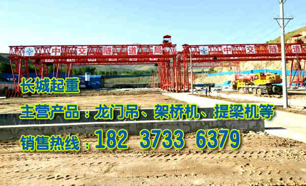 廣東韶關(guān)門式起重機廠家