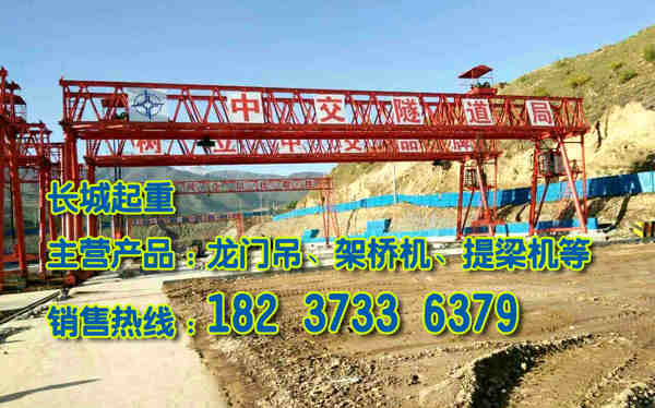 新疆和田門式起重機廠家